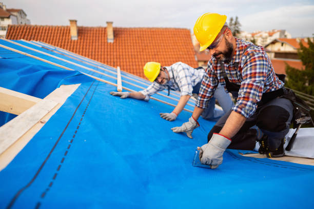 Best Roof Leak Repair  in Fitzgerald, GA